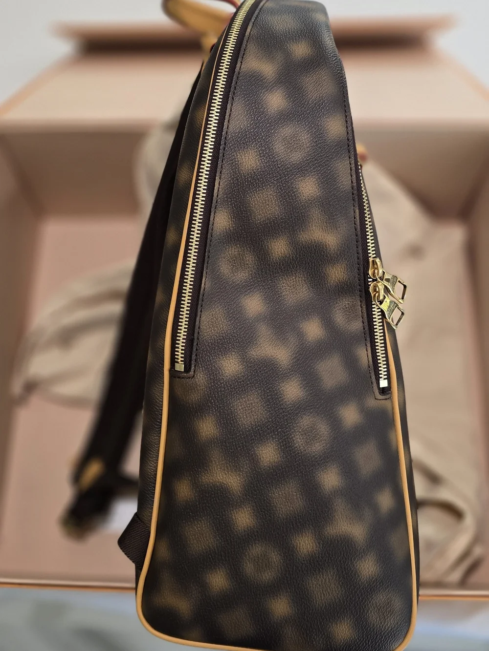 Louis Vuitton Brown & Tan Monogram Backpack
